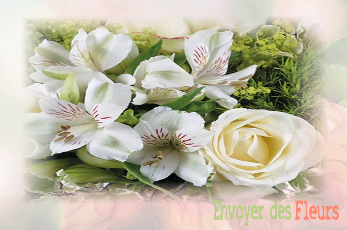 envoyer des fleurs à à VIVIERS-DU-LAC